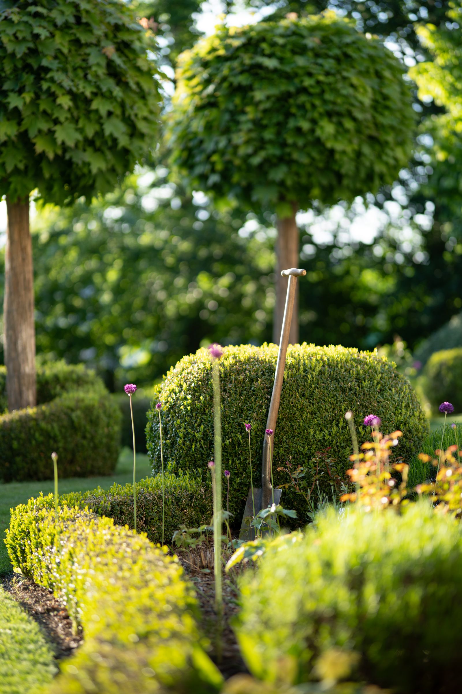 Giardino curato con attrezzi
