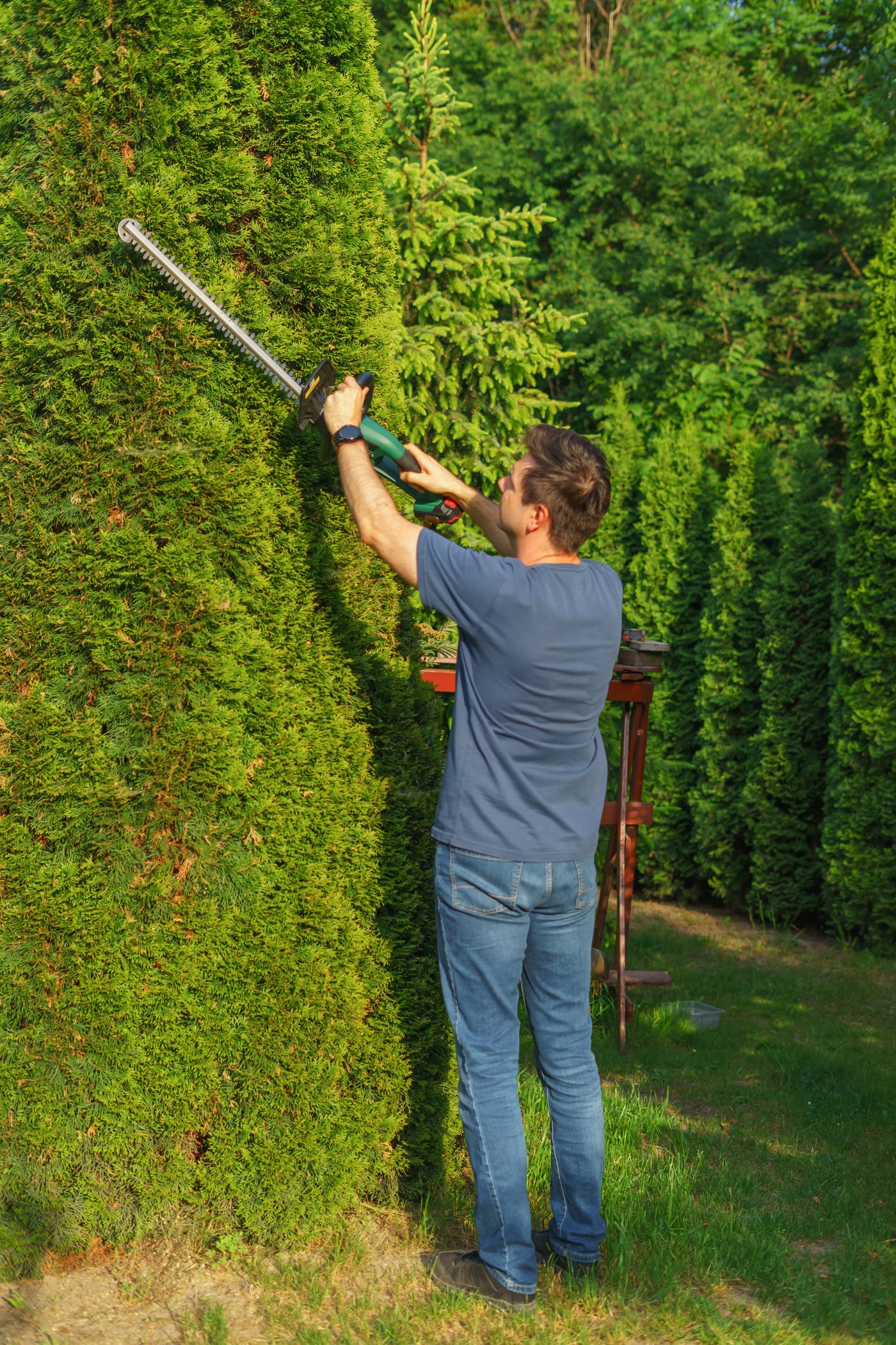 Giardiniere Vidales al lavoro su una siepe